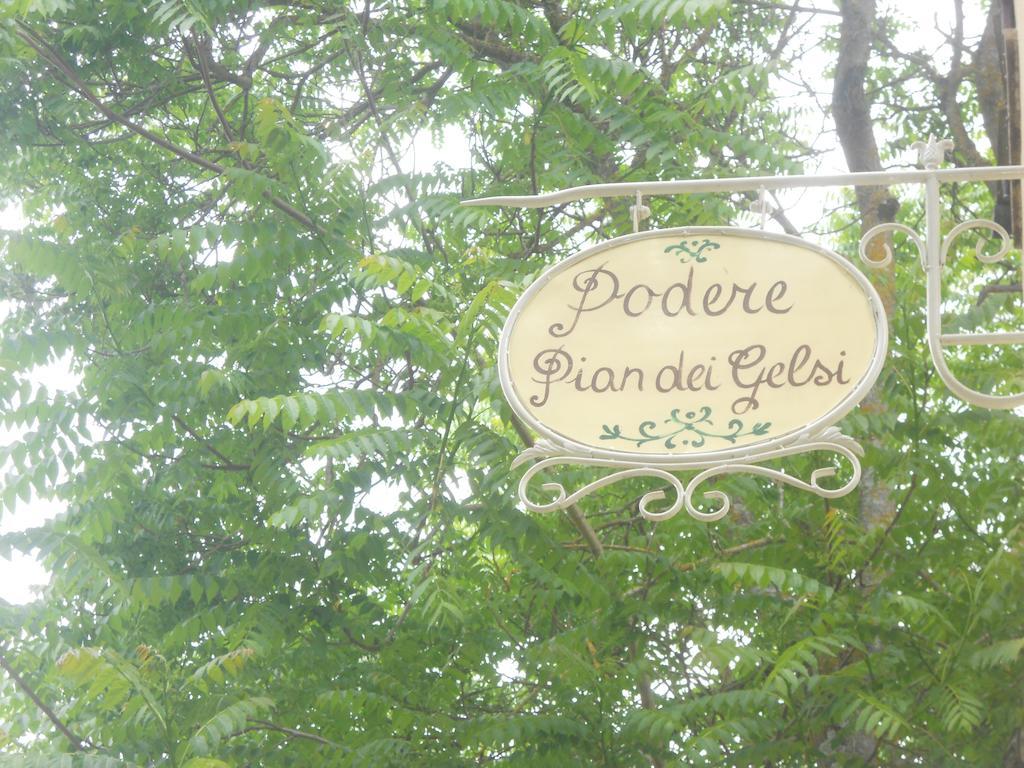 Podere Pian Dei Gelsi Волтера Екстериор снимка