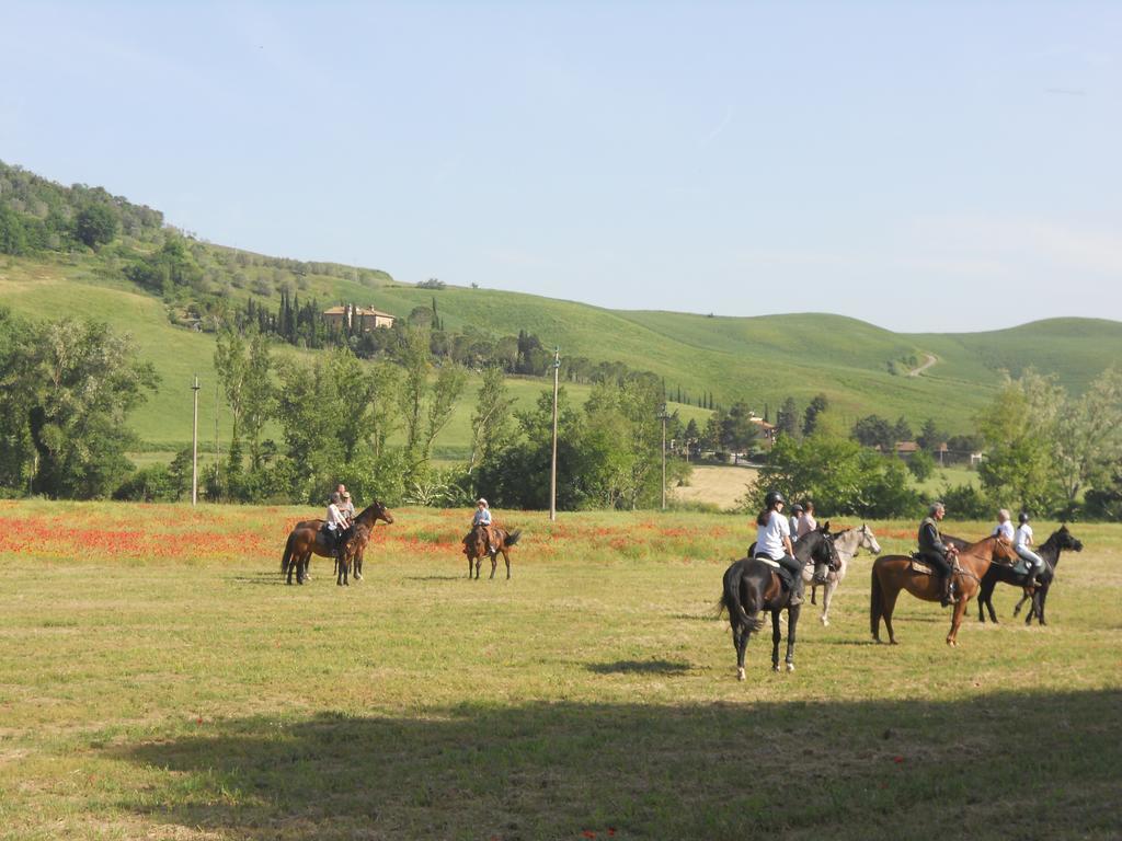 Podere Pian Dei Gelsi Волтера Екстериор снимка